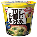 永谷園 1杯でしじみ70個分のちから カップみそ汁 19.6g×6個入【日本出荷】