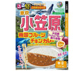 ハチ食品 るるぶ×Hachiコラボシリーズ 東京 小笠原 南国フルーツチキンカレー 180g×20個入【日本出荷】