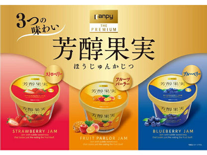 Campy The Premium Rich Fruit Blueberry 130g x 6 pieces [Shipped in Japan]