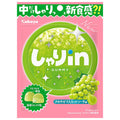 カバヤ しゃりinグミ マスカットソーダ 52g×10袋入【日本出荷】