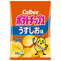 カルビー ポテトチップス うすしお味 55g×16袋入【日本出荷】
