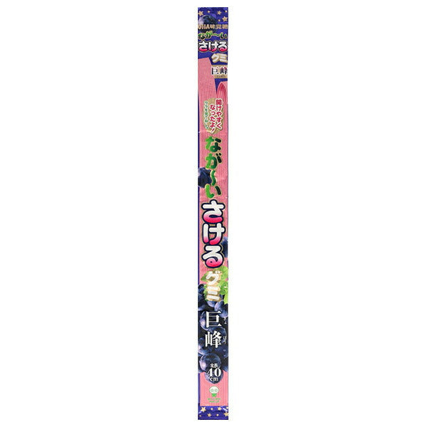 UHA味覚糖 ながーいさけるグミ 巨峰 1枚×10袋入【日本出荷】