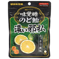 UHA味覚糖 味覚糖のど飴 濃い邪払 62g×6袋入【日本出荷】