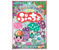 UHA味覚糖 ぷっちょ袋 4種アソート 88g×6個入【日本出荷】