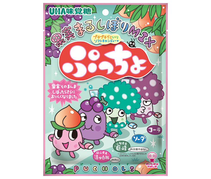 UHA味覚糖 ぷっちょ袋 4種アソート 88g×6個入【日本出荷】