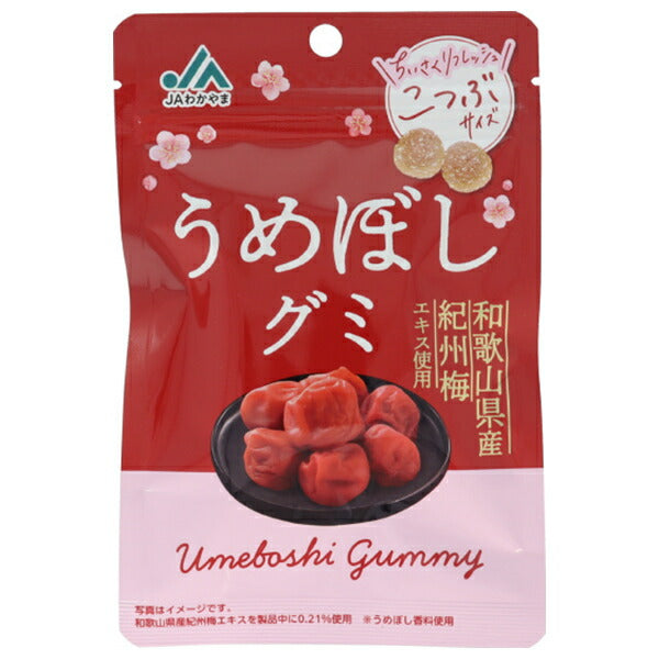 モントワール JAわかやま うめぼしグミ 36g×10袋入【日本出荷】