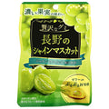 扇雀飴本舗 贅沢なグミ 長野のシャインマスカット 34g×6袋入【日本出荷】