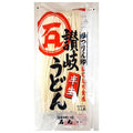 Ishimaru Seimen Half Raw Ritsurin Sanuki Udon 300g x 10 bags [Shipped in Japan]