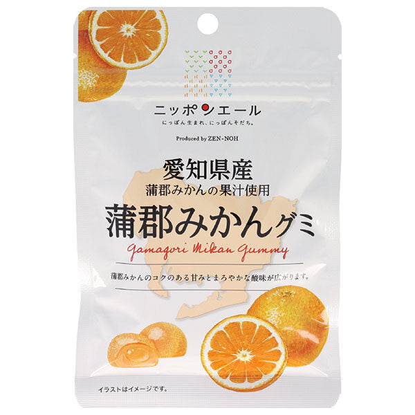 JA全農 ニッポンエール 愛知県産蒲郡みかん グミ 40g×10袋入【日本出荷】