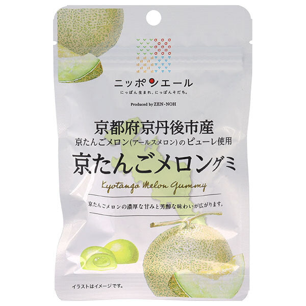 JA全農 ニッポンエール 京都府産京たんごメロン グミ 40g×10袋入【日本出荷】