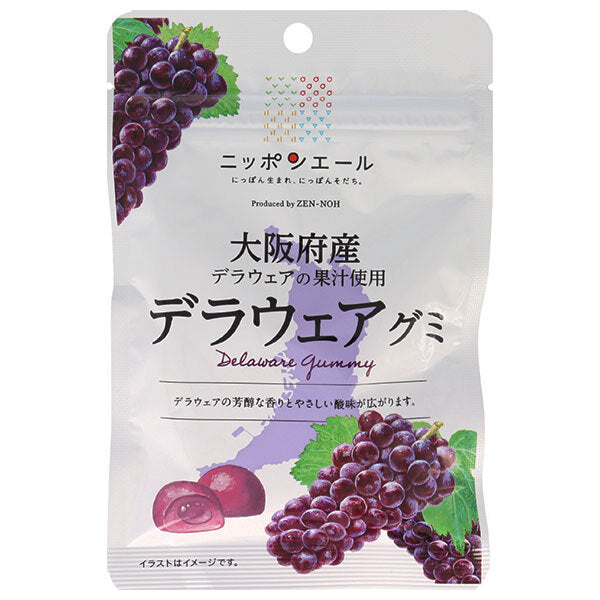 JA全農 ニッポンエール 大阪府産デラウェア グミ 40g×10袋入【日本出荷】