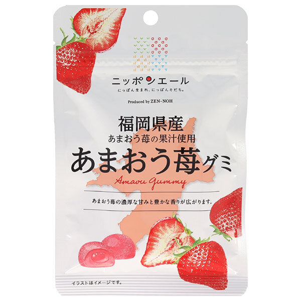 JA全農 ニッポンエール 福岡県産あまおう グミ 40g×10袋入【日本出荷】