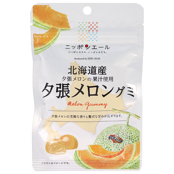 JA全農 ニッポンエール 北海道産夕張メロン グミ 40g×10袋入【日本出荷】