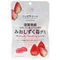 JA全農 ニッポンエール 滋賀県産みおしずく苺 グミ 40g×10袋入【日本出荷】