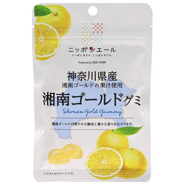 JA全農 ニッポンエール 神奈川県産湘南ゴールド グミ 40g×10袋入【日本出荷】