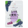 JA全農 ニッポンエール 岩手産山葡萄 グミ 40g×10袋入【日本出荷】