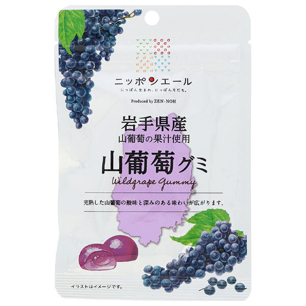 JA全農 ニッポンエール 岩手産山葡萄 グミ 40g×10袋入【日本出荷】