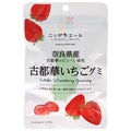 JA全農 ニッポンエール 奈良県古都華いちご グミ 40g×10袋入【日本出荷】