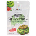 JA全農 ニッポンエール富山県入善ジャンボ西瓜 グミ 40g×10袋入【日本出荷】