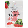JA全農 ニッポンエール 熊本県産すいか グミ 40g×10袋入【日本出荷】