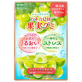 カネカ食品 カネカQ10果実グミ シャインマスカット味 40g×10袋入【日本出荷】