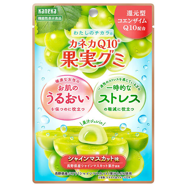 カネカ食品 カネカQ10果実グミ シャインマスカット味 40g×10袋入【日本出荷】
