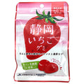 カネカ食品 静岡いちごグミ ラブレ乳酸菌入 40g×10袋入【日本出荷】