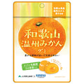 カネカ食品 和歌山温州みかんグミ ラブレ乳酸菌入 40g×10袋入【日本出荷】