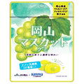 カネカ食品 岡山マスカットグミ ラブレ乳酸菌入 40g×10袋入【日本出荷】
