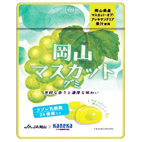 カネカ食品 岡山マスカットグミ ラブレ乳酸菌入 40g×10袋入【日本出荷】