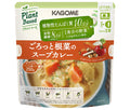 カゴメ ごろっと根菜のスープカレー 250g×10袋入【日本出荷】