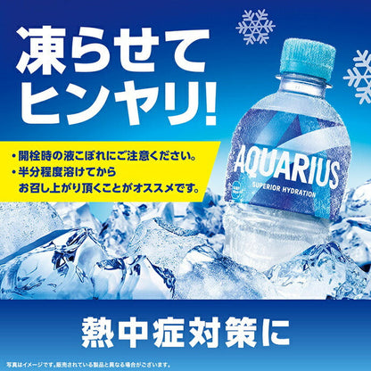 コカコーラ アクエリアス 500mlペットボトル×24本入【日本出荷】