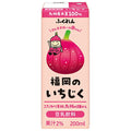 【賞味期限2026.04.19かそれ以降】ふくれん 豆乳飲料 福岡のいちじく 200ml紙パック×24本入【日本出荷】