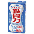九州乳業 鉄骨力 125ml紙パック×36本入【日本出荷】