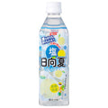 サンA 塩日向夏 490mlペットボトル×24本入【日本出荷】