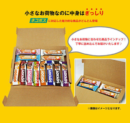 森永製菓 inバー ジュニアプロテイン ココア ×12本入【日本出荷】