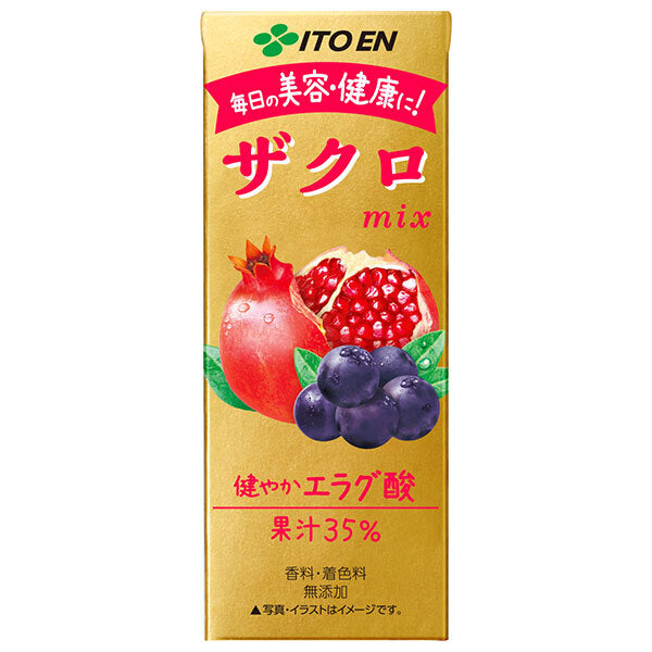 伊藤園 ザクロミックス 200ml紙パック×24本入【日本出荷】