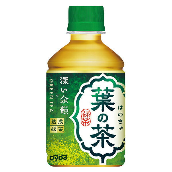 Daido leaf tea 280ml plastic bottle x 24 bottles [shipped in Japan]