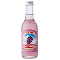 友桝飲料 ナガノパープルサイダー 245ml瓶×24本入【日本出荷】