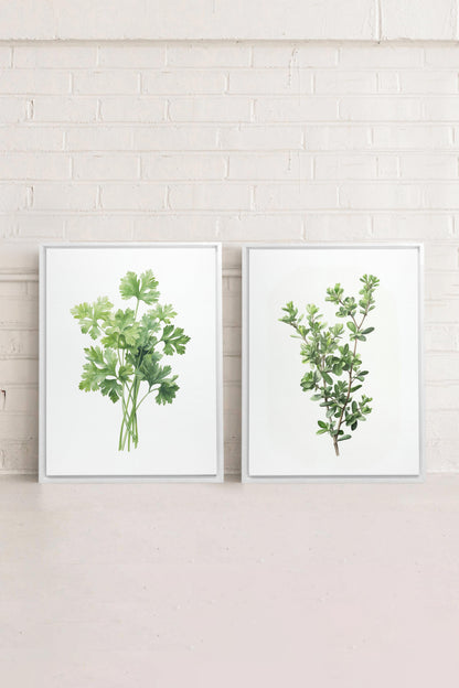 DUO FINES HERBES (2 Oeuvres sur toile étirée)