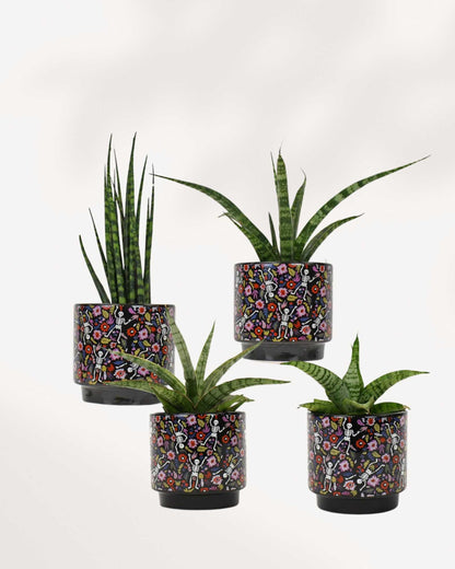 Day of the Dead Pot