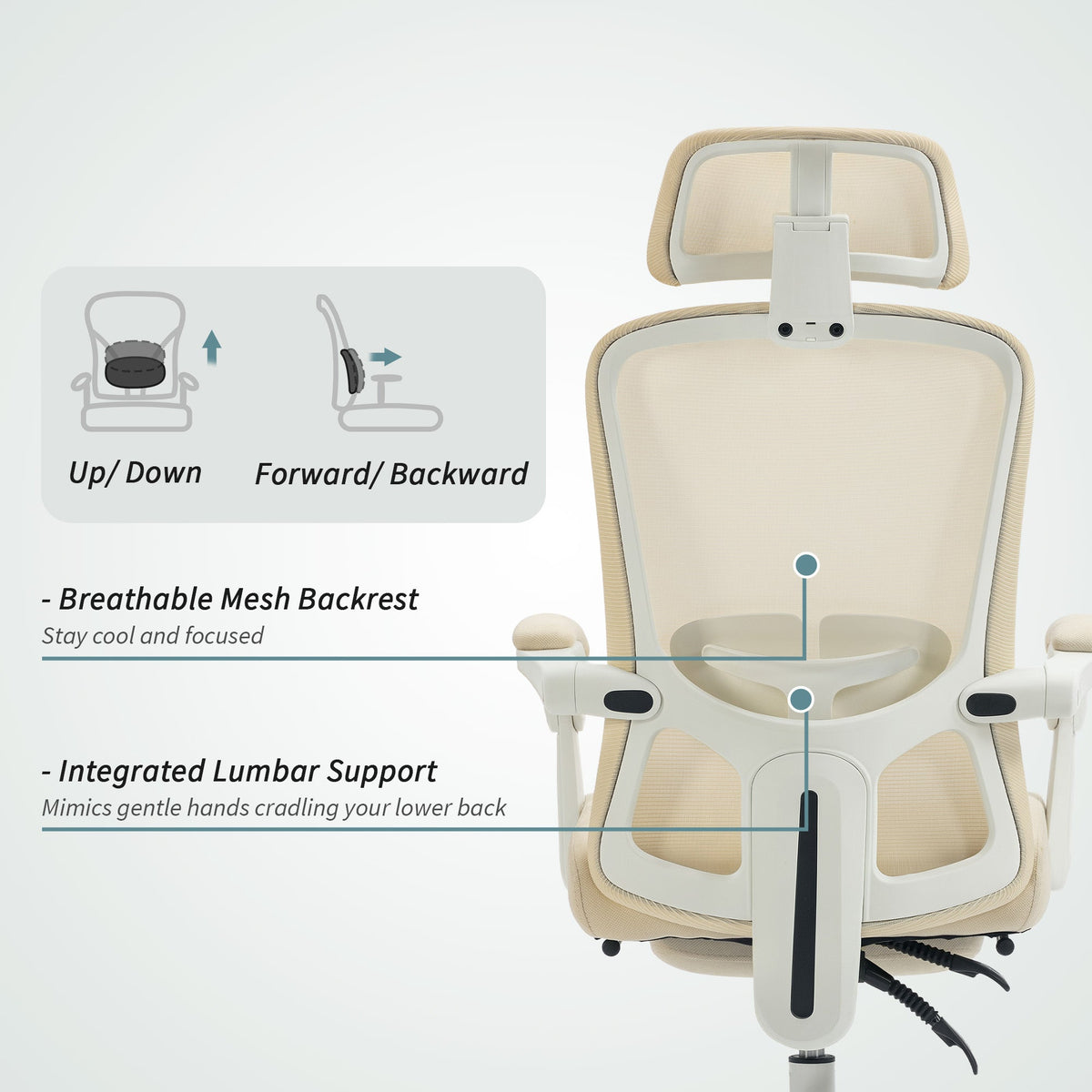 Ergonomic Office Chair, Mesh Reclining Desk Chair with Adjustable Lumbar Support, Headrest, Beige