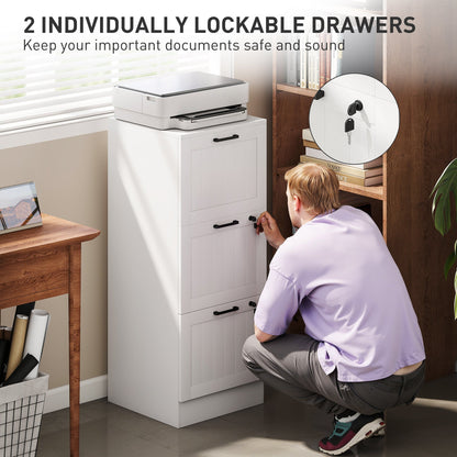2 Drawer Filing Cabinet with Lock, Office Storage Cabinet with Adjustable Hanging Bars for A4 Letter Size Files, Black