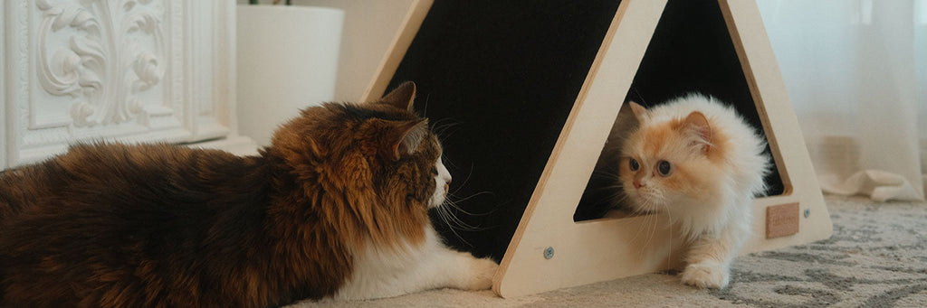 Noba Origin Scratchable Teepee Cat House