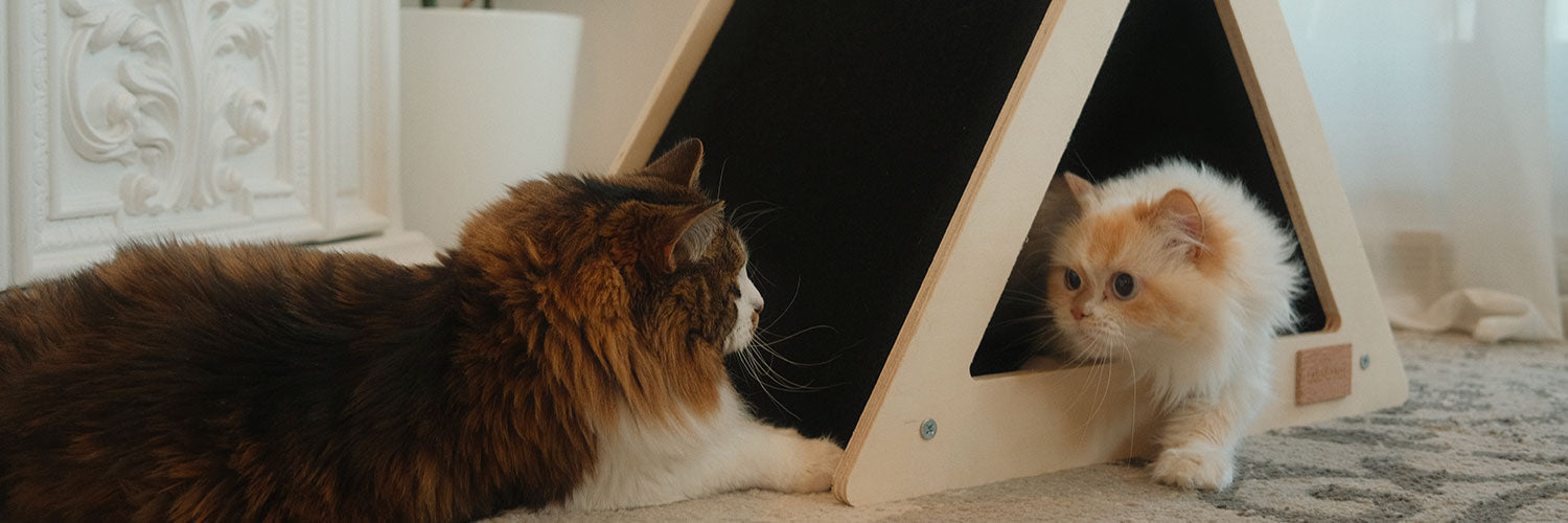 Noba Origin Scratchable Teepee Cat House