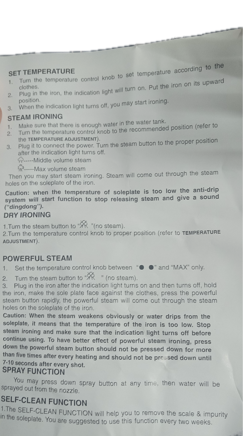 House of 220 Antique Steam Iron