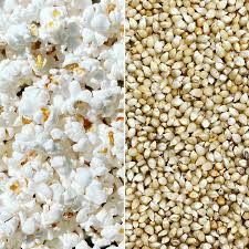 Bulk White Hull-less Popcorn Kernels (6lbs, 12lbs, 18lbs, 24lbs) (Product of Canada)