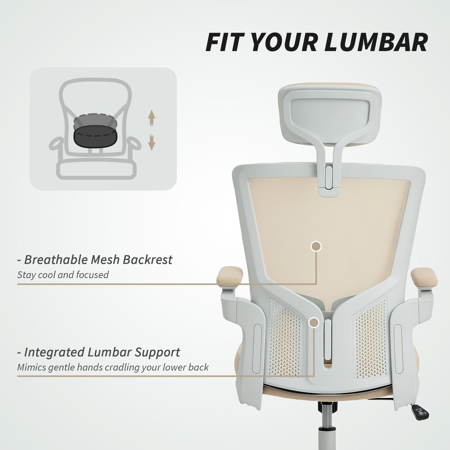 Andre Ergonomic Office Chair with 2D Lumbar Support and adjustable Headrest-Beige/White