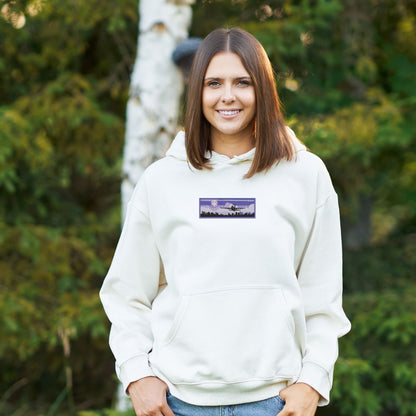 Hoodie Avion brodé