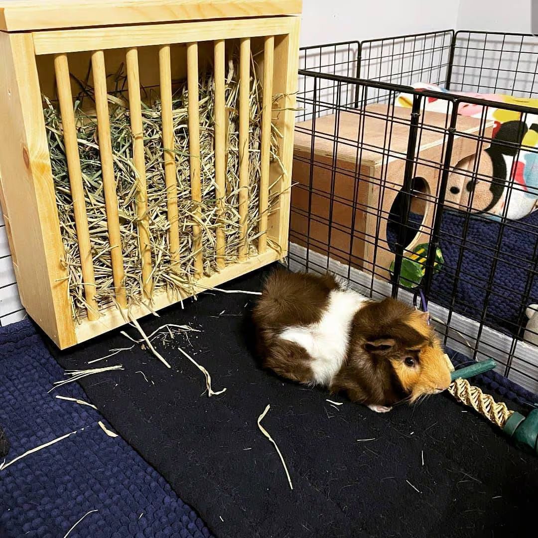 Mounted Hay Feeder for Rabbits & Guinea Pigs - Products Added